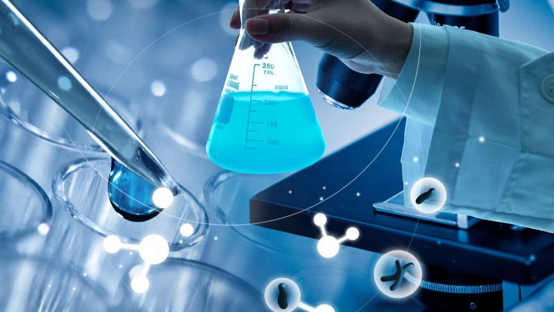 生物医药外包服务，报价如何考量？**