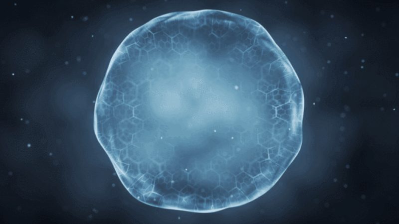 低温离心管：选择背后的科学考量**