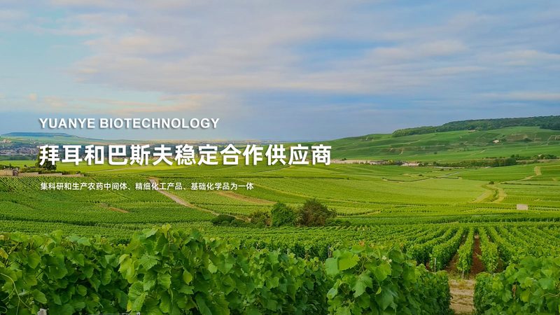 抗体纯化服务：揭秘影响服务周期的关键因素