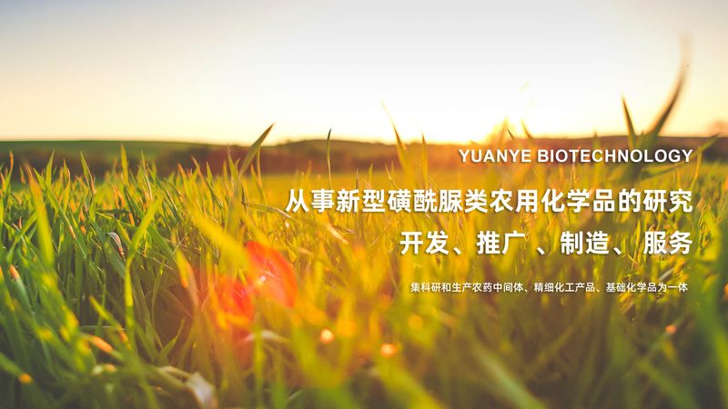 北京生物科技公司资质要求：合规之路的关键要素**