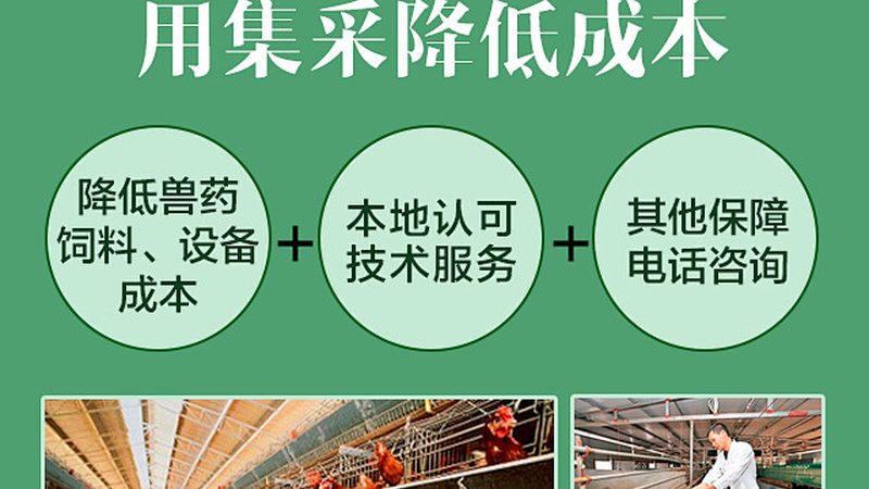 细胞培养基：新手如何正确选择与使用**