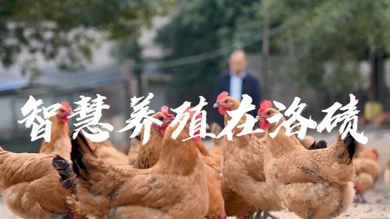 离心管批发市场：揭秘实验室耗材的“幕后英雄”**