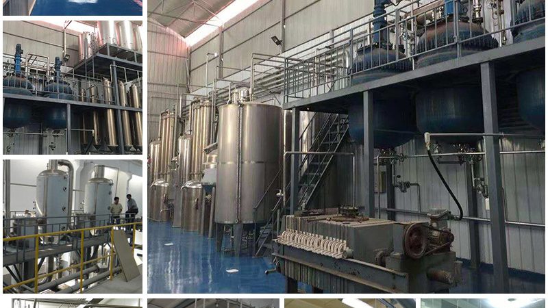 朝阳区基因检测中心费用构成解析